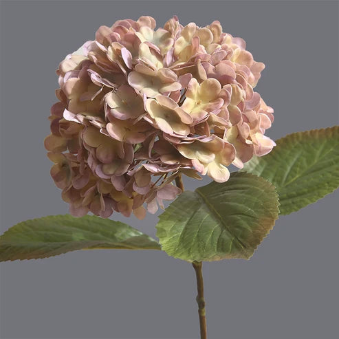 Lot de 5 Fleurs d'Hortensia en soie Style Rétro Anglais