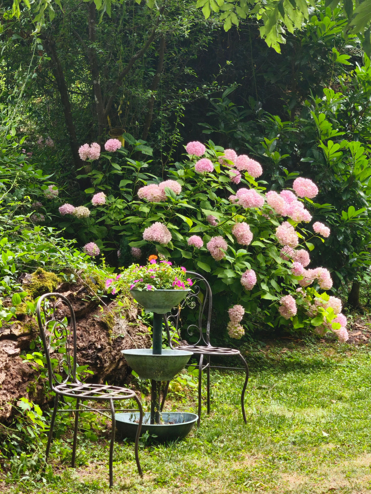 Garden Retreat Collection
