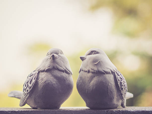 Birds and Wildlife Collection